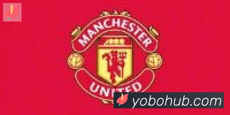 YOBO体育合作伙伴